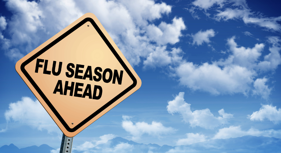 Flu Season Predictions 2025 2026